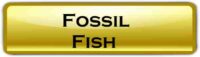 Fossil FIsh